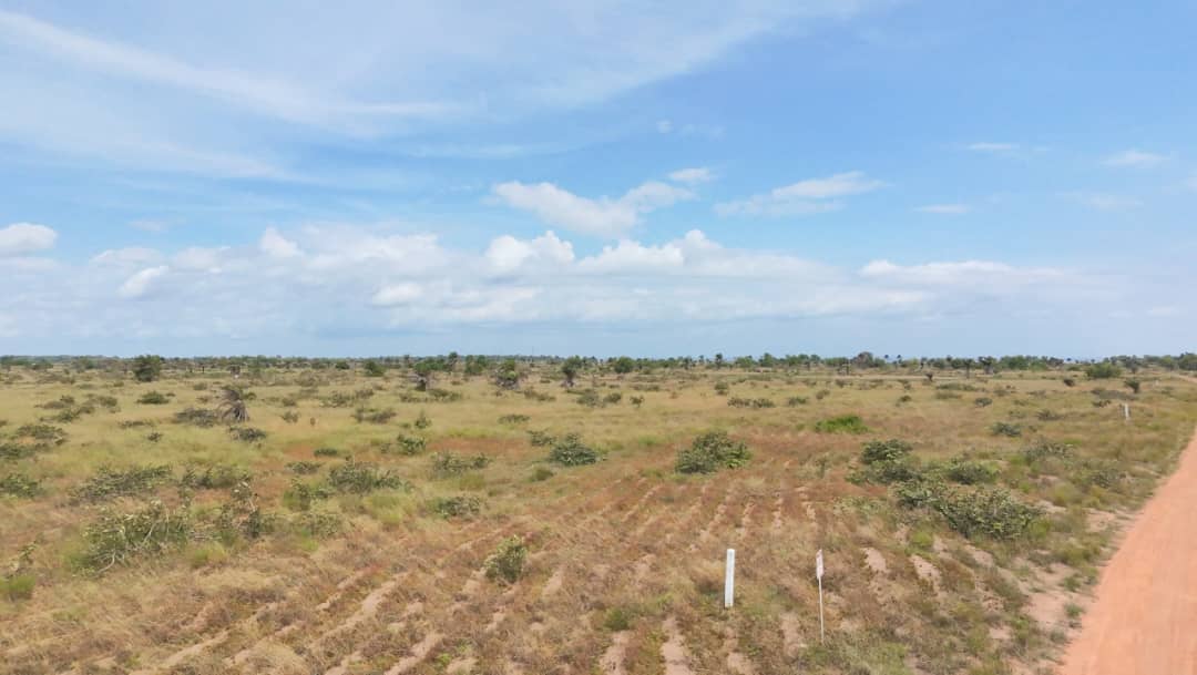 25 Parcelles à Vendre Muanda - vue 4