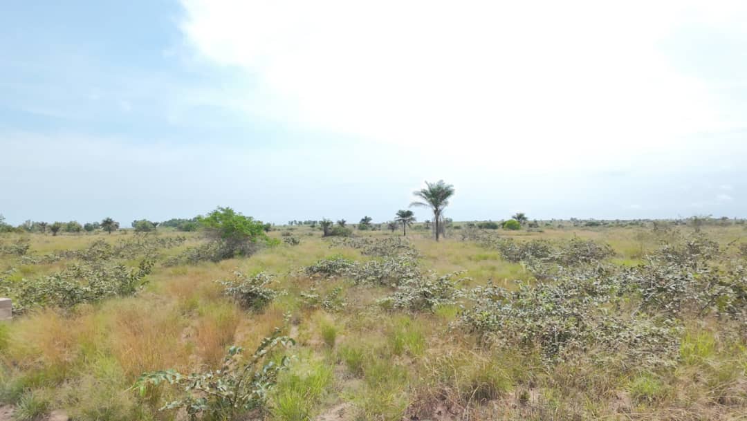25 Parcelles à Vendre Muanda - vue 2