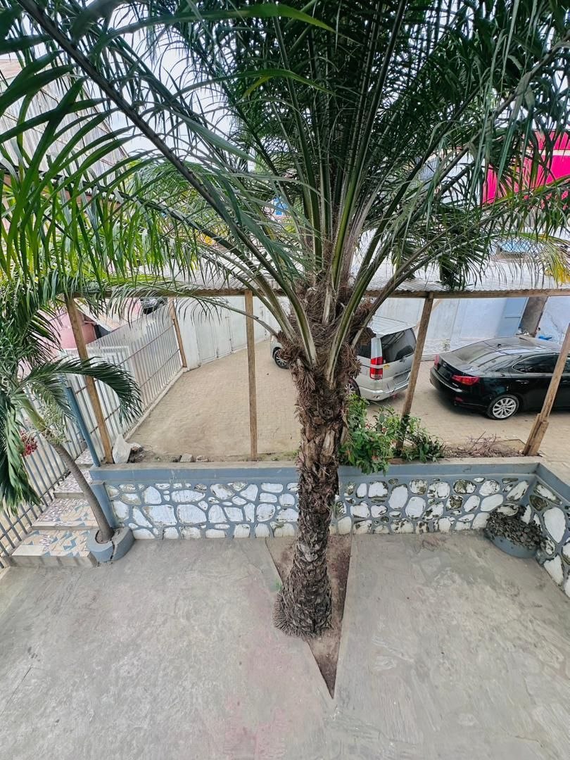Immeuble à vendre à Matadi — 2 appartements, parking, près Ambassade Angola - vue 7