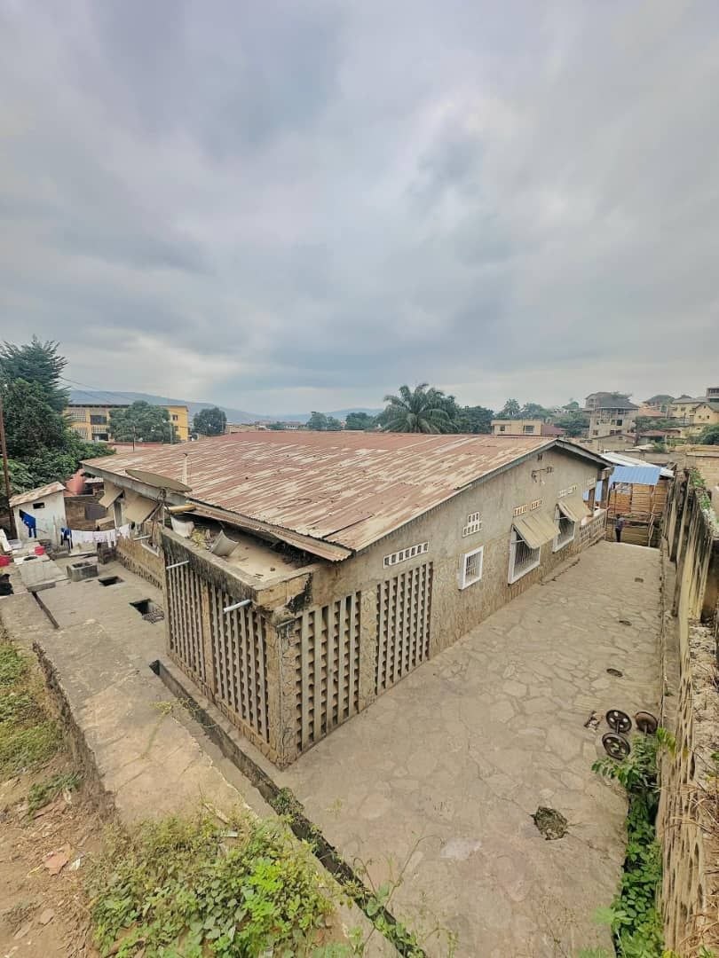 Parcelle avec revenus locatifs – Palace, Matadi