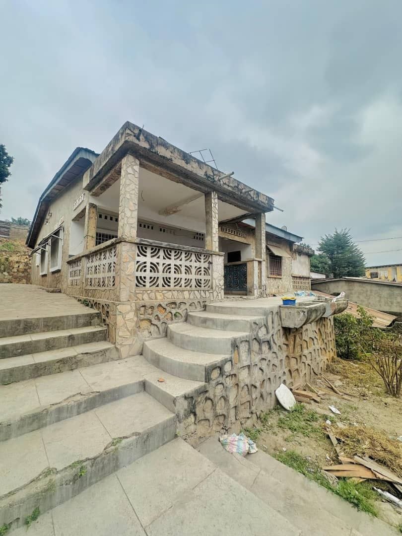 Parcelle avec revenus locatifs – Palace, Matadi - vue 2