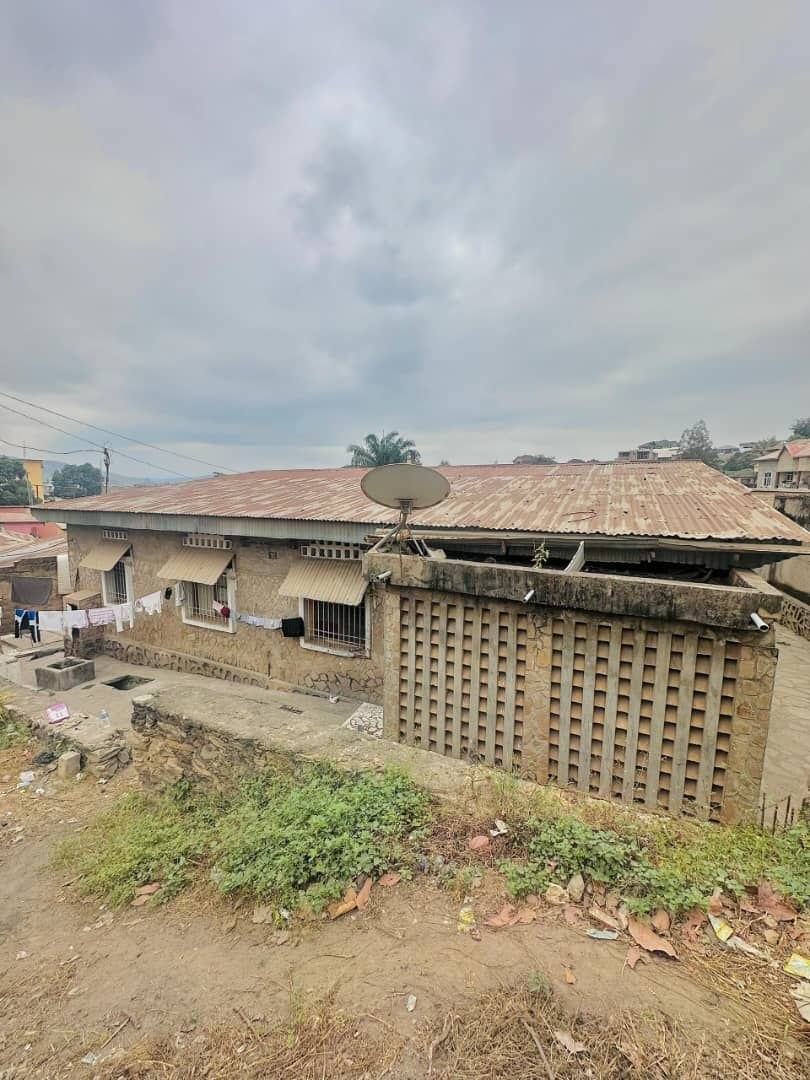 Parcelle avec revenus locatifs – Palace, Matadi - vue 3