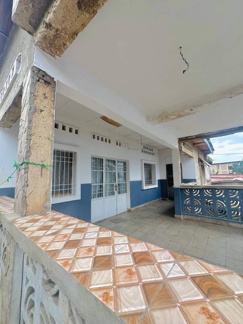 Parcelle avec revenus locatifs – Palace, Matadi - vue 8