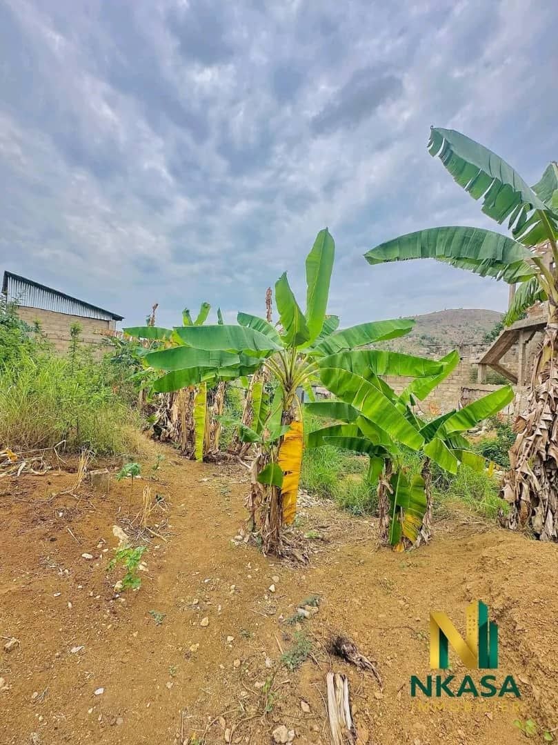 Terrain à vendre à Mpozo – Matadi, 135 m², 1500 $ - vue 2