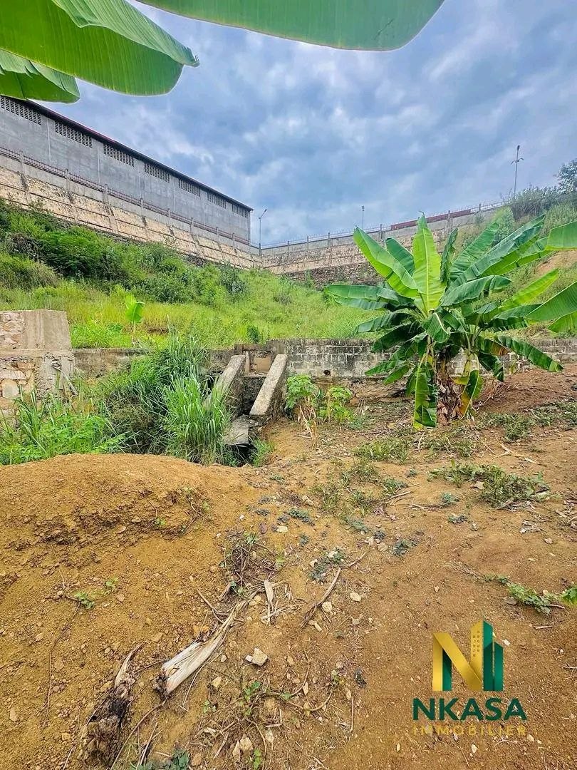 Terrain à vendre à Mpozo – Matadi, 135 m², 1500 $ - vue 3