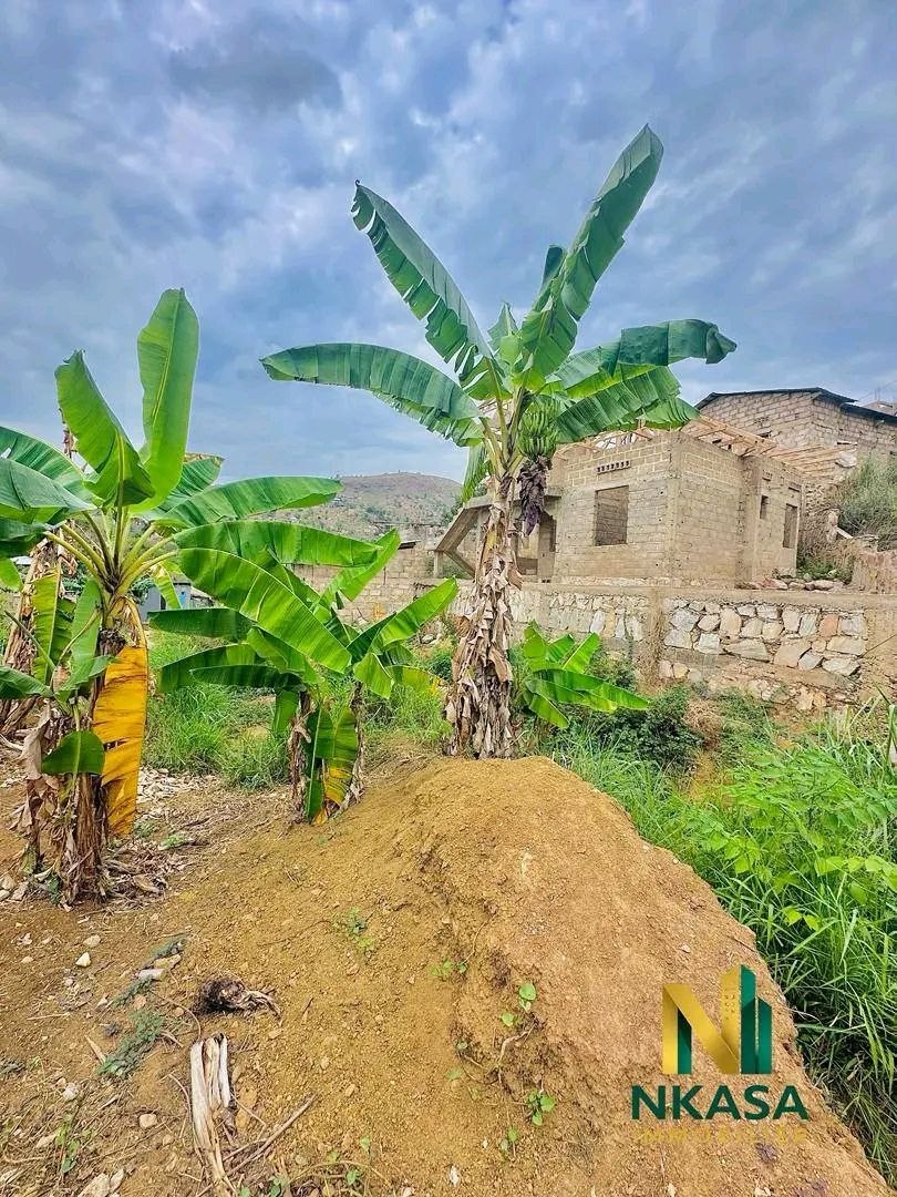 Terrain à vendre à Mpozo – Matadi, 135 m², 1500 $ - vue 4