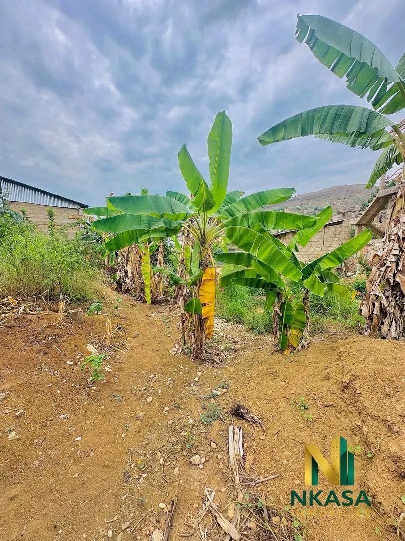 Terrain à vendre à Mpozo – Matadi, 135 m², 1500 $ - vue 5
