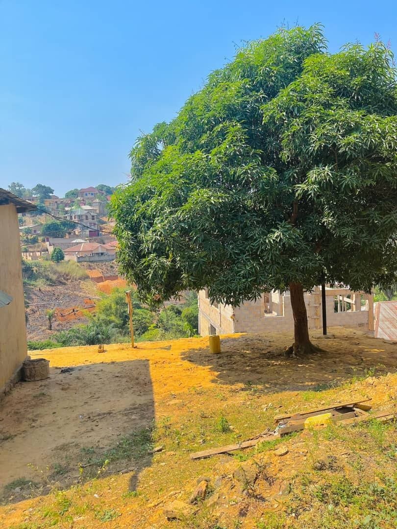 Terrain rare 200m² à Tsasa — Matadi, fort potentiel - vue 4