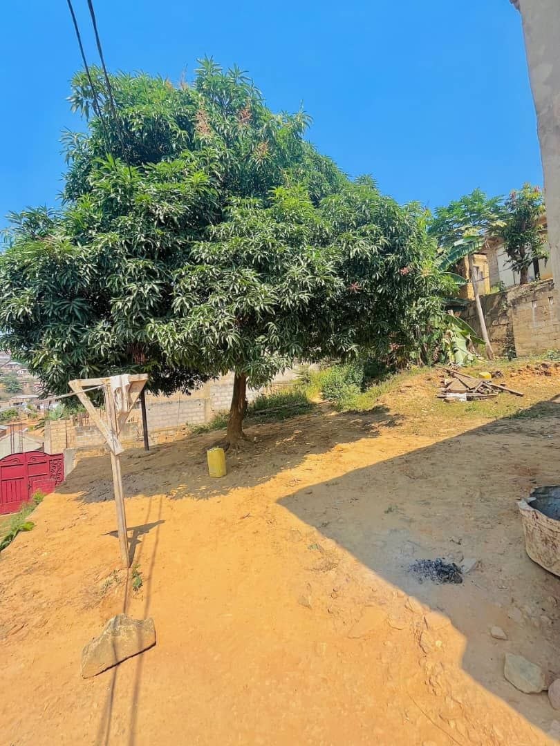Terrain rare 200m² à Tsasa — Matadi, fort potentiel - vue 5
