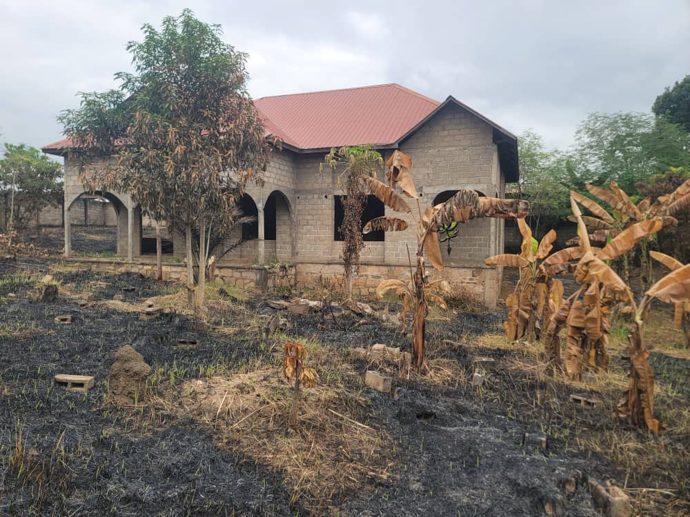 GRANDE PARCELLE À VENDRE À BOMA – SAÏCO - vue 6